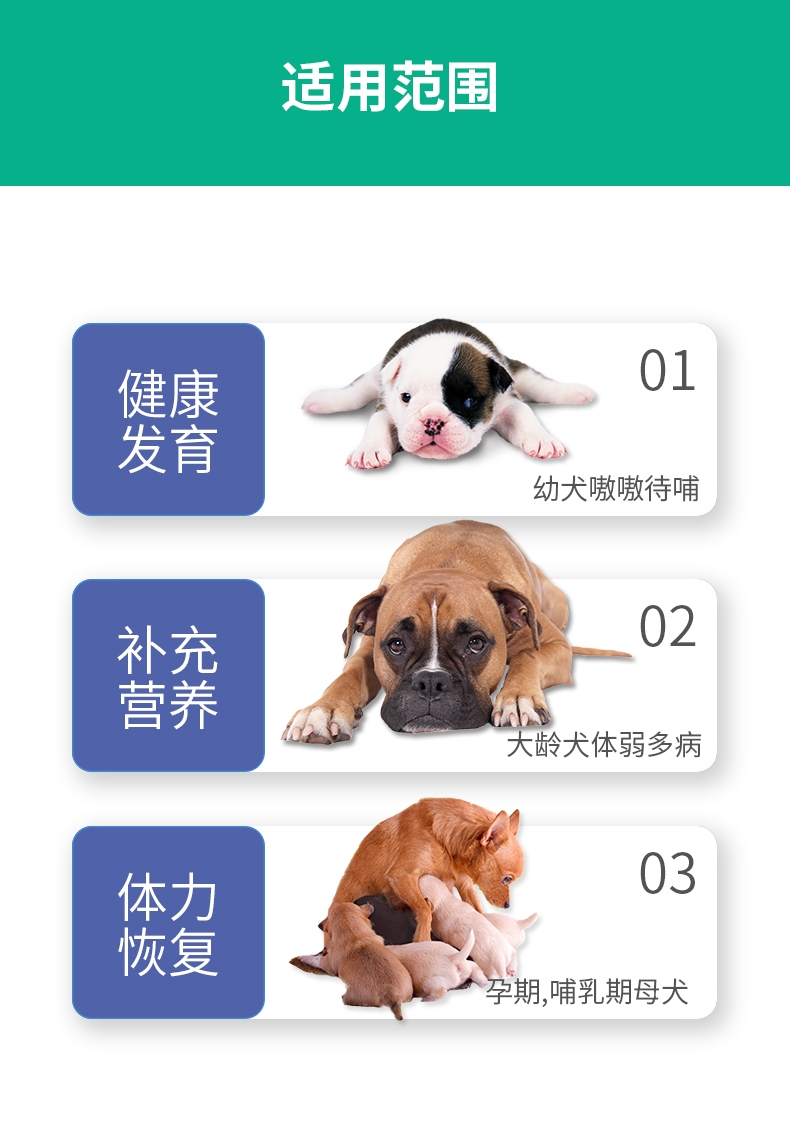 Mr.why 犬类智慧金装营养素80g 改善体质 增加智力发育 澳洲进口