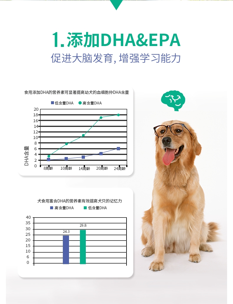 Mr.why 犬类智慧金装营养素80g 改善体质 增加智力发育 澳洲进口