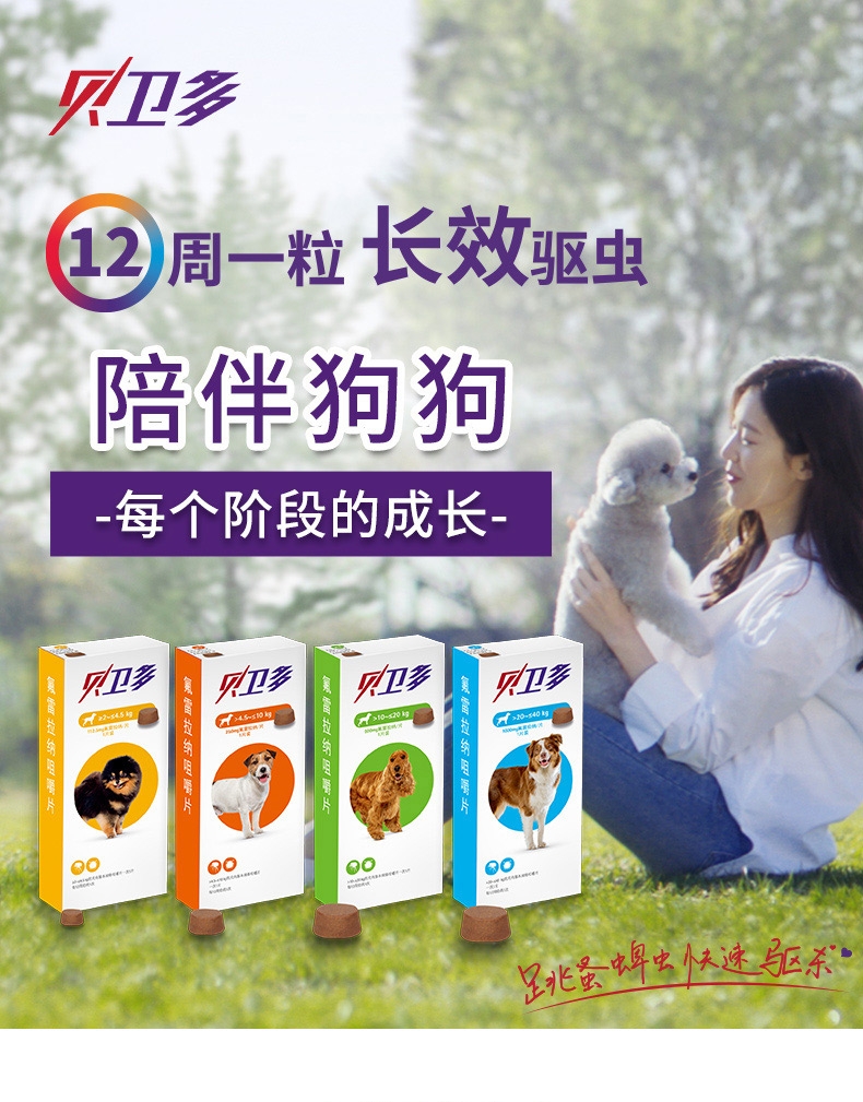Bravecto 贝卫多 氟雷拉纳咀嚼片 20-40kg