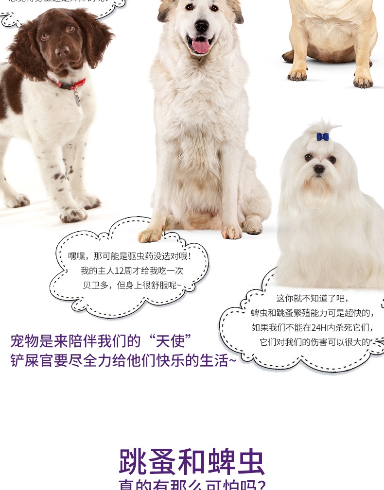 Bravecto 贝卫多 氟雷拉纳咀嚼片 20-40kg