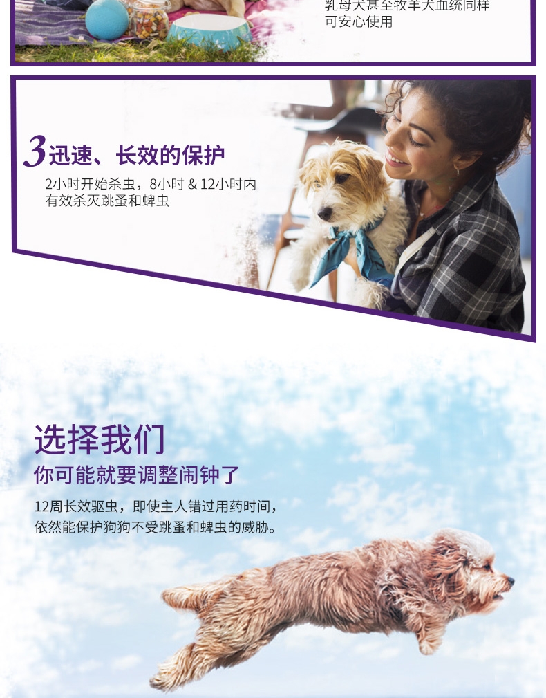 Bravecto 贝卫多 氟雷拉纳咀嚼片 20-40kg