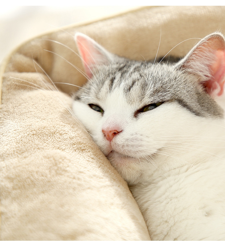 猫乐适 基础猫窝 耐抓耐挠 柔软亲肤