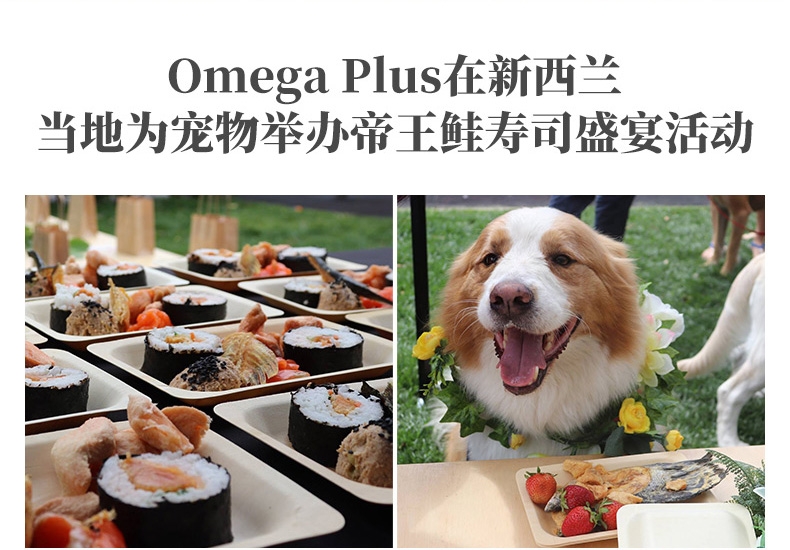 奥鲑冠Omega Plus 原鱼冻干三文鱼帝王鲑幼鱼小鱼干80g 新西兰进口