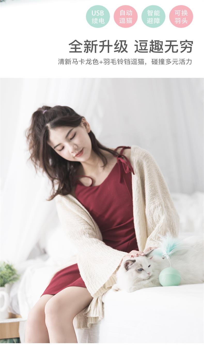 宠觅petseek 激光逗猫球 智能逗猫 告别肥胖