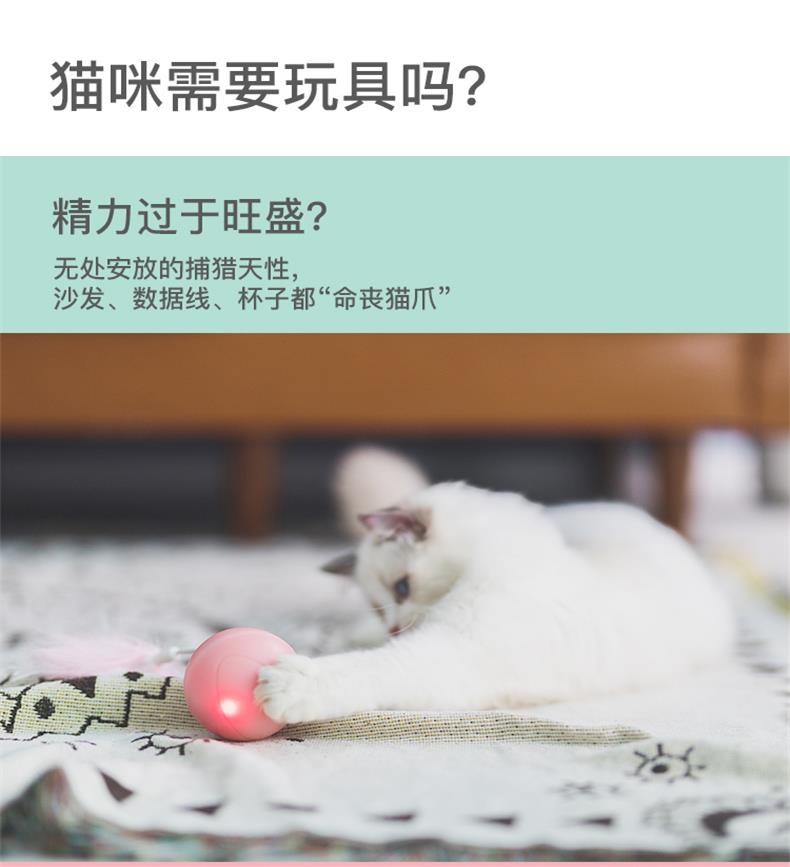 宠觅petseek 激光逗猫球 智能逗猫 告别肥胖