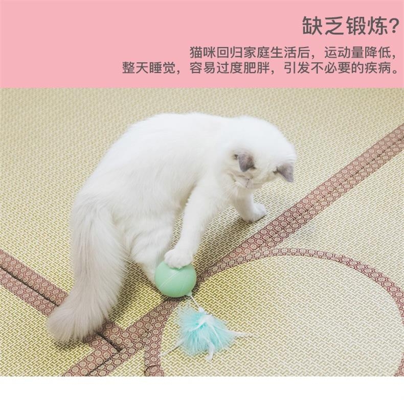 宠觅petseek 激光逗猫球 智能逗猫 告别肥胖