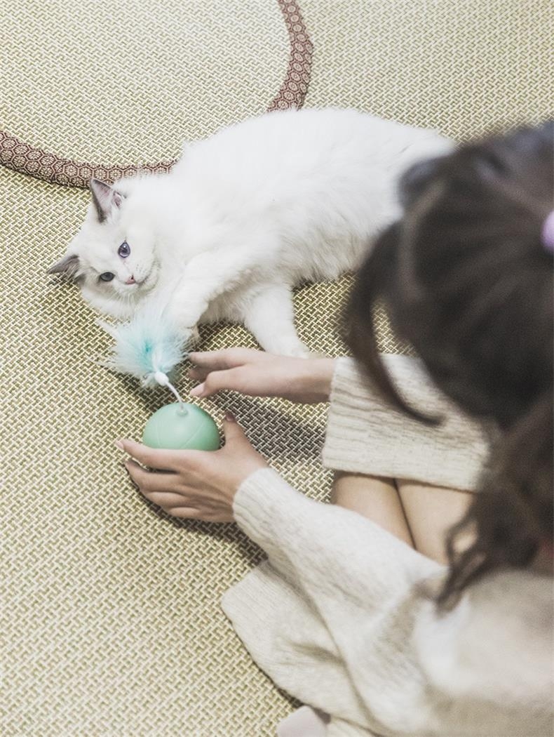 宠觅petseek 激光逗猫球 智能逗猫 告别肥胖
