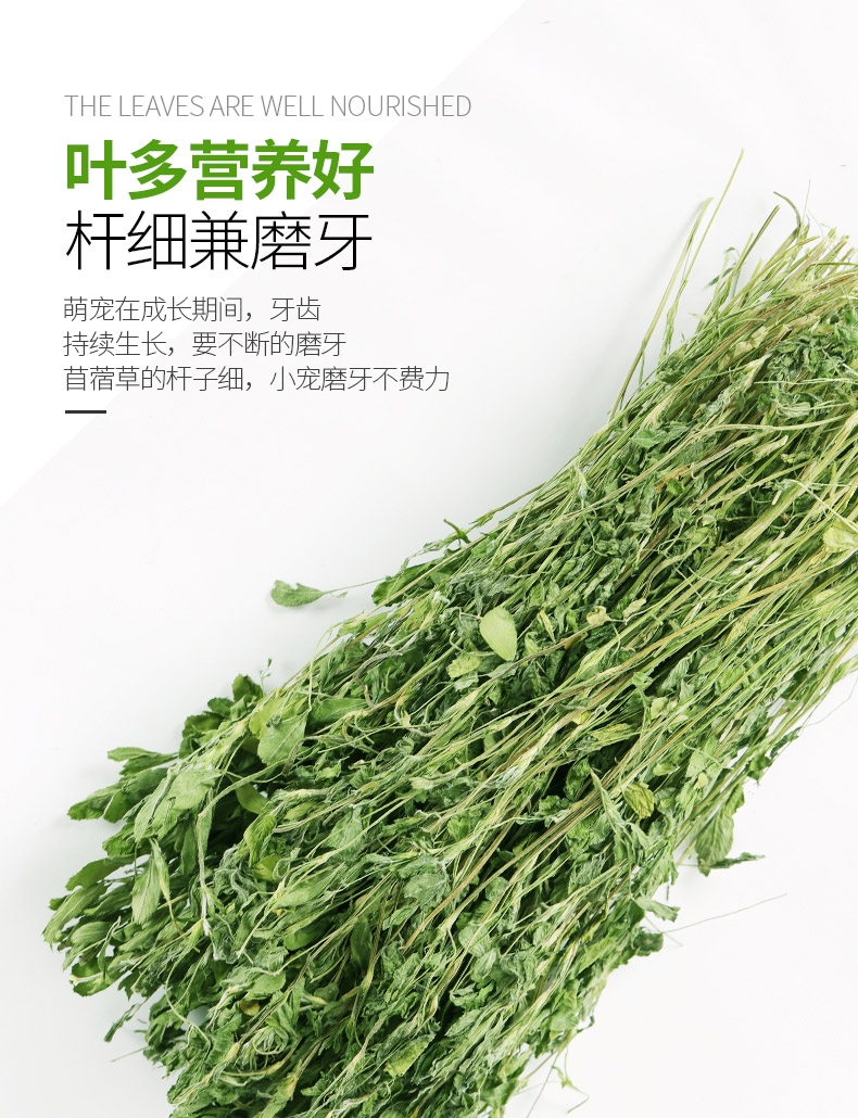 洁西Jessie 牧草菁华苜蓿草兔粮兔草 1kg 杆细易磨牙