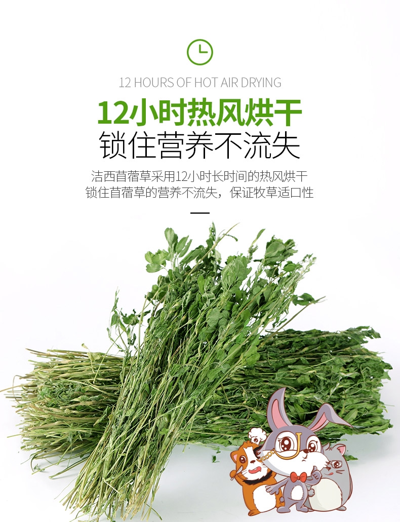洁西Jessie 牧草菁华苜蓿草兔粮兔草 1kg 杆细易磨牙
