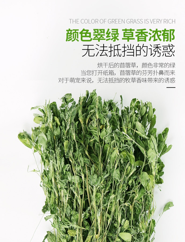 洁西Jessie 牧草菁华苜蓿草兔粮兔草 1kg 杆细易磨牙