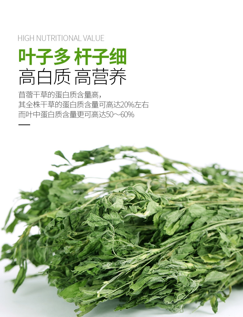 洁西Jessie 牧草菁华苜蓿草兔粮兔草 1kg 杆细易磨牙