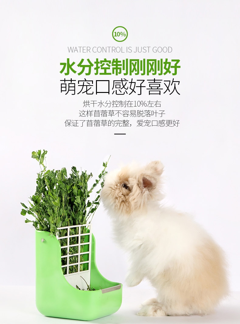 洁西Jessie 牧草菁华苜蓿草兔粮兔草 1kg 杆细易磨牙