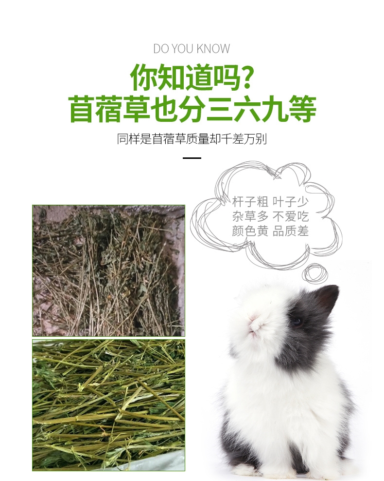 洁西Jessie 牧草菁华苜蓿草兔粮兔草 1kg 杆细易磨牙