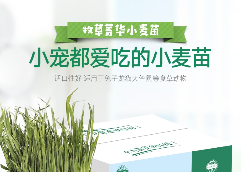 洁西Jessie 牧草菁华小麦苗兔粮 500g 富含纤维 助排毛