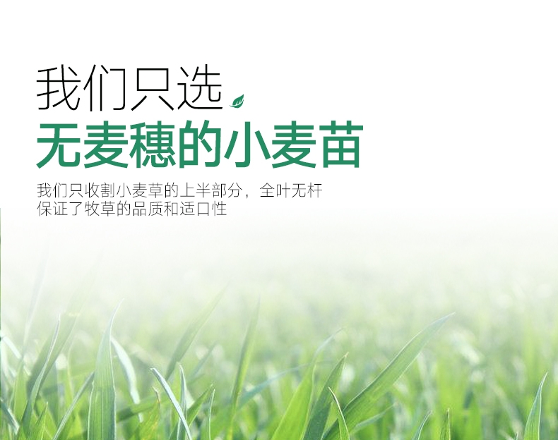洁西Jessie 牧草菁华小麦苗兔粮 500g 富含纤维 助排毛