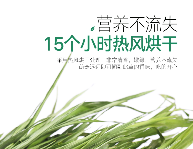 洁西Jessie 牧草菁华小麦苗兔粮 500g 富含纤维 助排毛