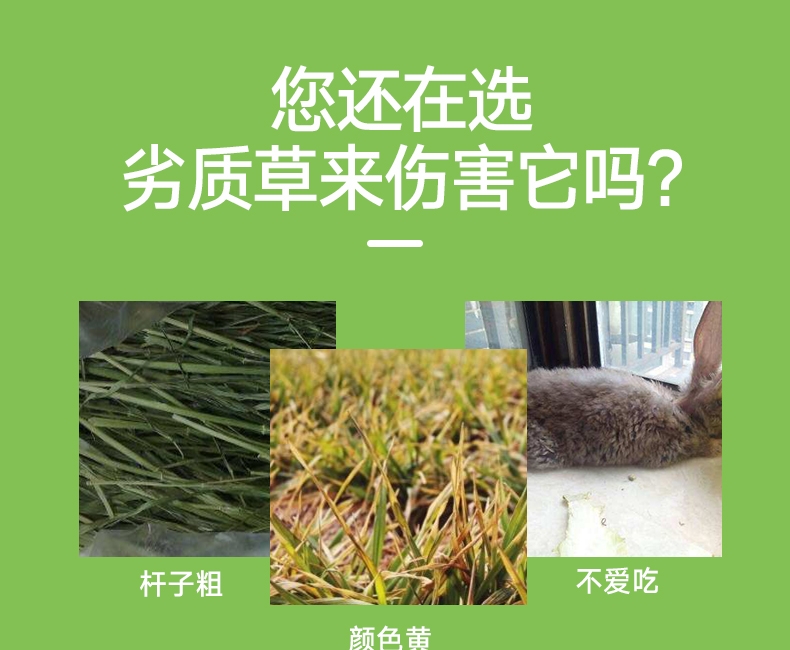 洁西Jessie 牧草菁华小麦苗兔粮 500g 富含纤维 助排毛