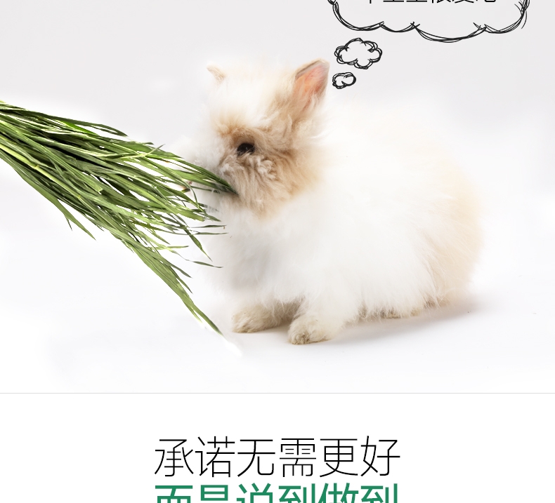 洁西Jessie 牧草菁华小麦苗兔粮 500g 富含纤维 助排毛