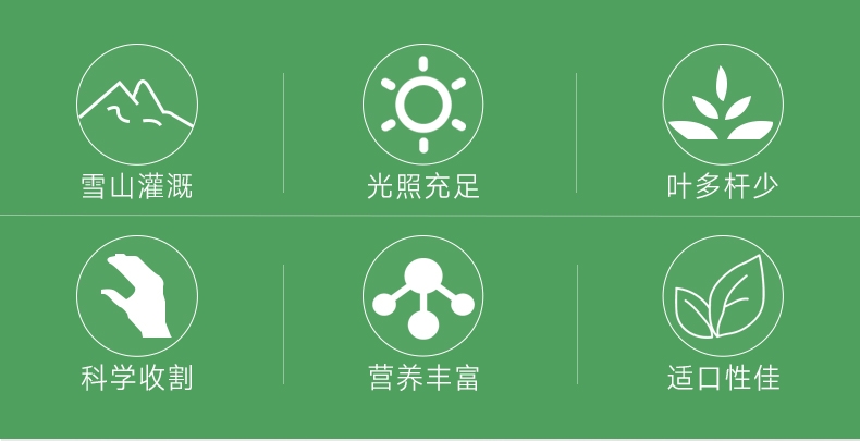 洁西Jessie 洛基山脉梯牧草兔粮 500g 调理肠胃 助消化