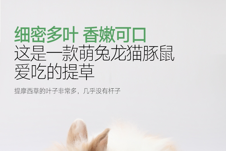 洁西Jessie 洛基山脉梯牧草兔粮 500g 调理肠胃 助消化