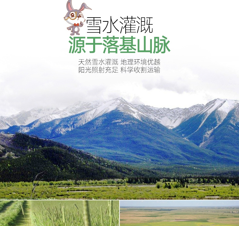 洁西Jessie 洛基山脉梯牧草兔粮 500g 调理肠胃 助消化