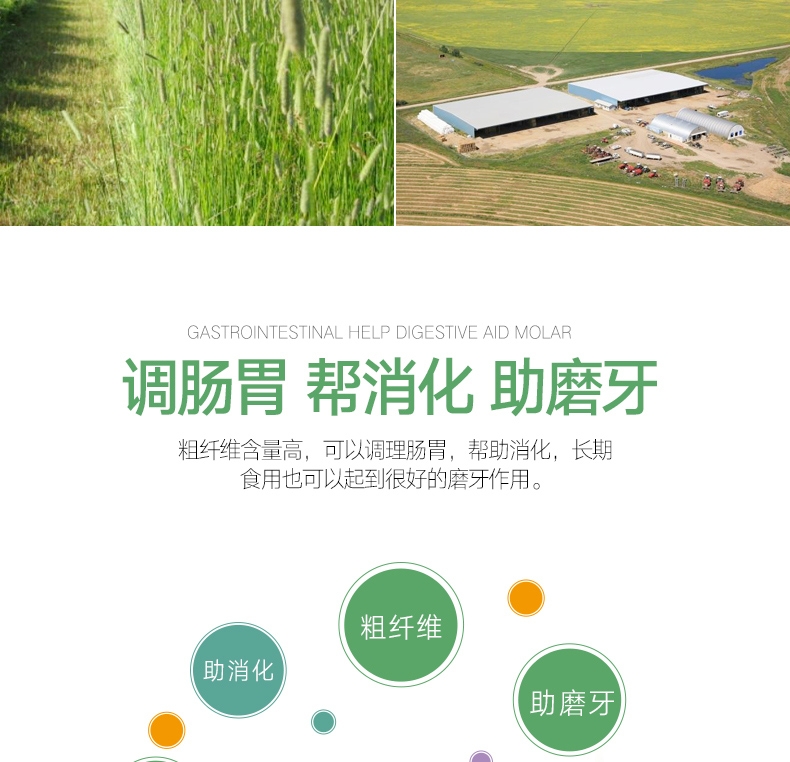 洁西Jessie 洛基山脉梯牧草兔粮 500g 调理肠胃 助消化