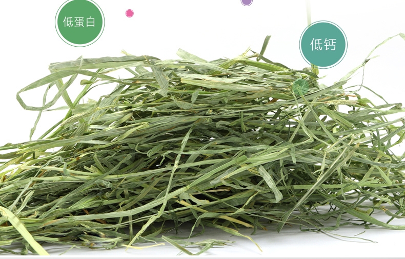 洁西Jessie 洛基山脉梯牧草兔粮 500g 调理肠胃 助消化