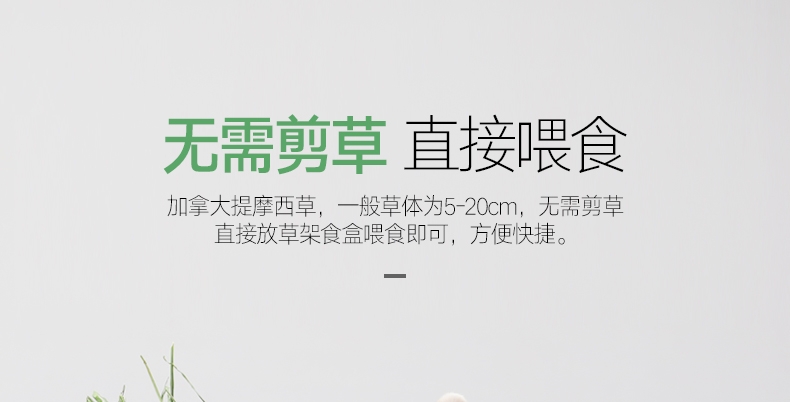洁西Jessie 洛基山脉梯牧草兔粮 500g 调理肠胃 助消化