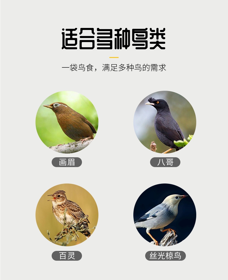 洁西Jessie 画眉鸟食 1kg 富含蛋白质 易消化
