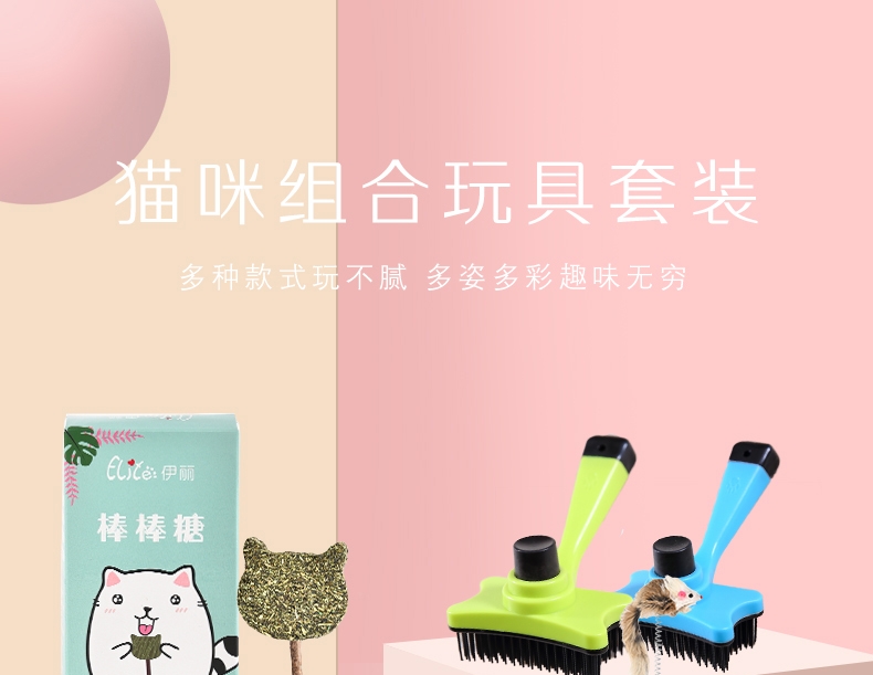 伊丽 猫咪玩具6件套 含猫转盘 趣味互动