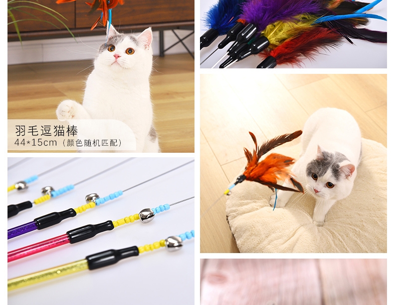伊丽 猫咪玩具6件套 含猫转盘 趣味互动
