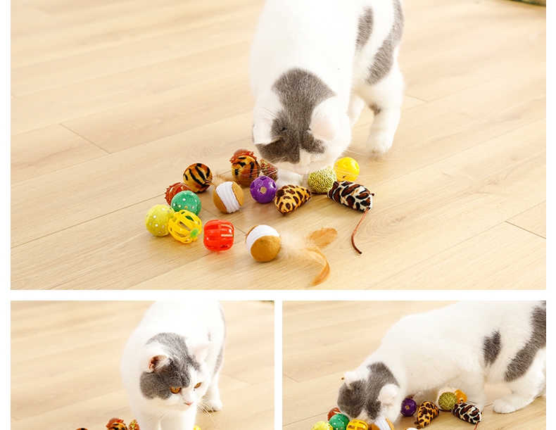 伊丽 猫咪玩具6件套 含猫转盘 趣味互动