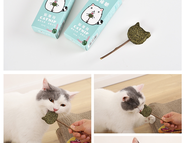 伊丽 猫咪玩具6件套 含猫转盘 趣味互动