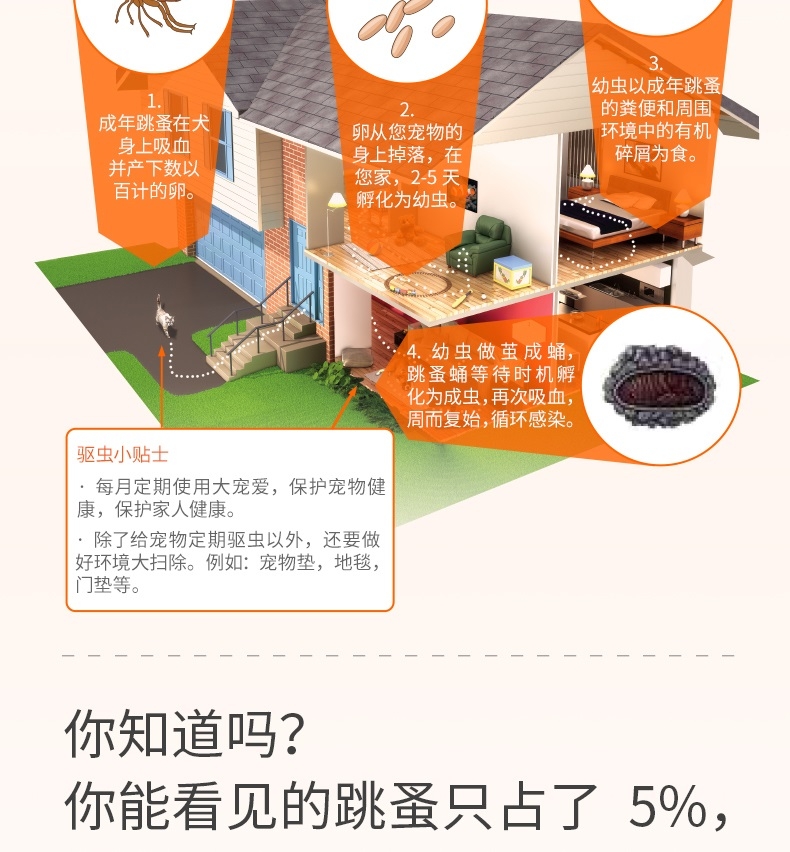 大宠爱 猫用内外同驱 驱虫滴剂 2.6-7.5KG适用 45mg*6支/盒 美国进口