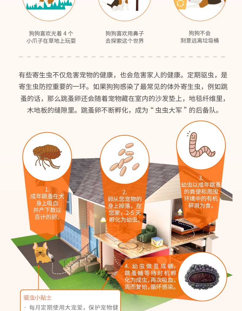大宠爱 狗用内外同驱 驱虫滴剂 适用于20.1-40kg 240mg*6支/盒 美国进口