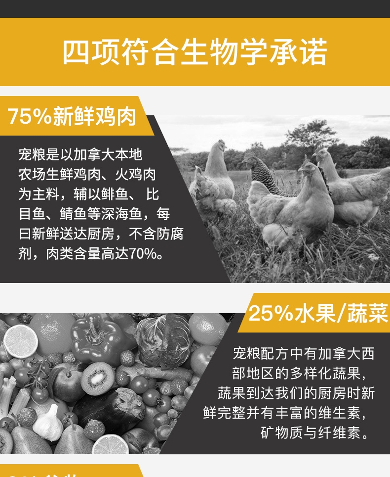 爱肯拿Acana 无谷鸡肉配方全猫粮 5.4kg 加拿大进口