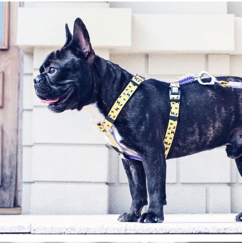 IS PET 织带狗狗胸背带 防爆冲 耐磨