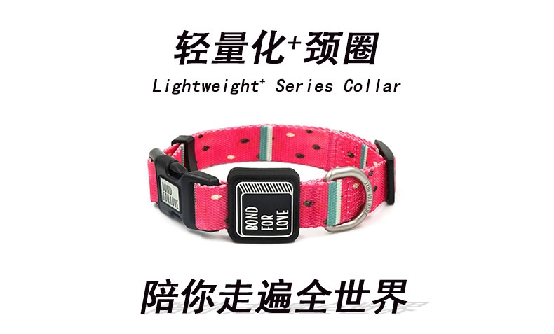 IS PET 织带宠物颈圈 狗项圈 轻量化设计 时尚耐用