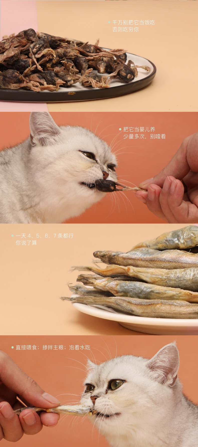 怡亲 多春鱼小鱼干冻干猫零食 50g 富含牛磺酸