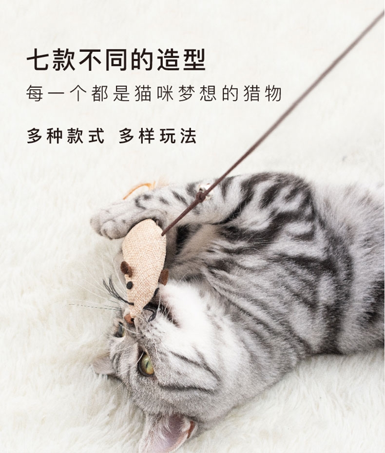 美芙 逗猫七件套 花式逗猫 每天不重样