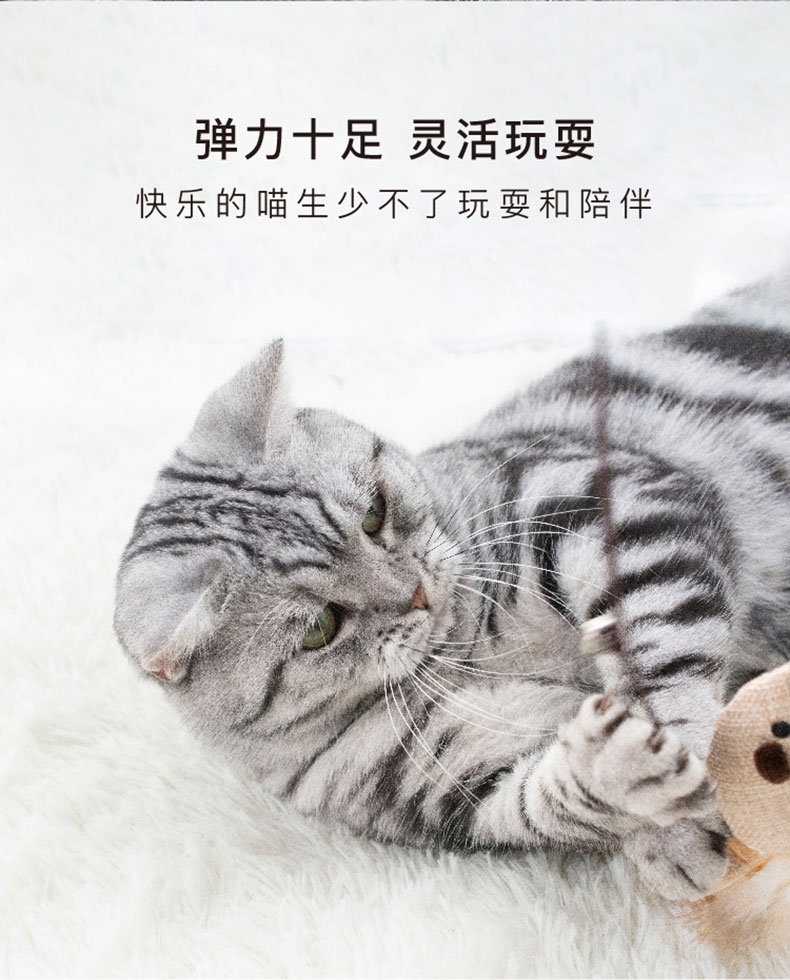 美芙 逗猫七件套 花式逗猫 每天不重样