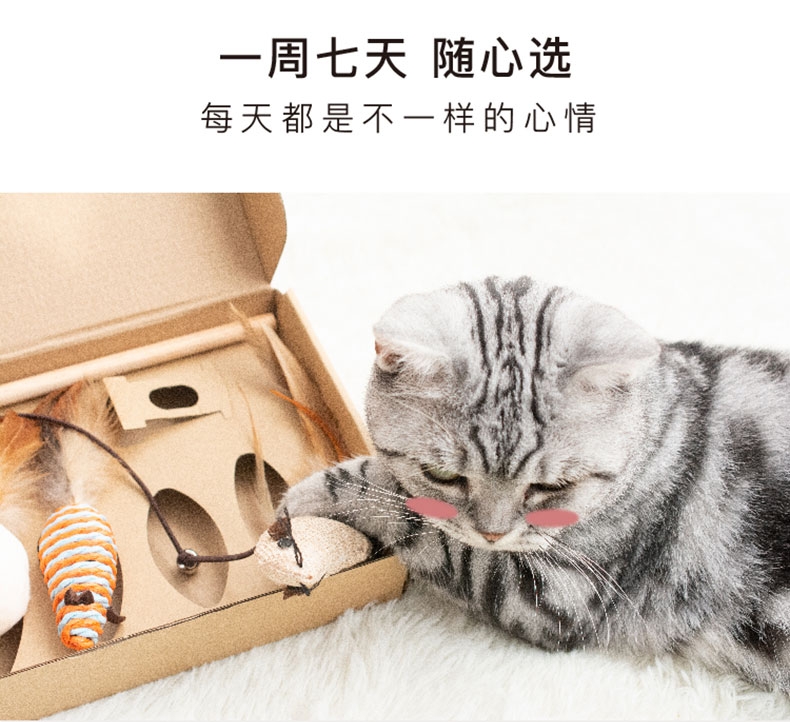 美芙 逗猫七件套 花式逗猫 每天不重样