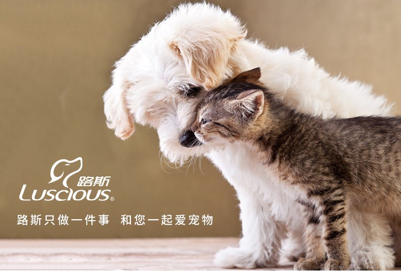 路斯 冻干鸭胸肉45g 犬猫通用 80%蛋白含量