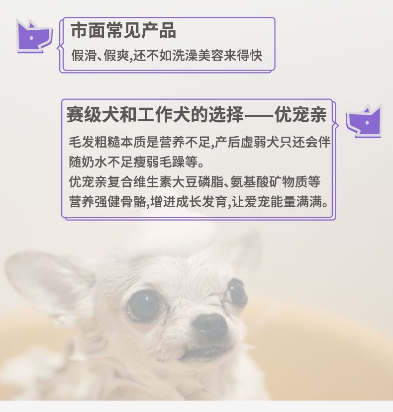倍珍保 优宠靓氨基酸狗美毛颗粒 300g 美毛增色 有助毛发新生