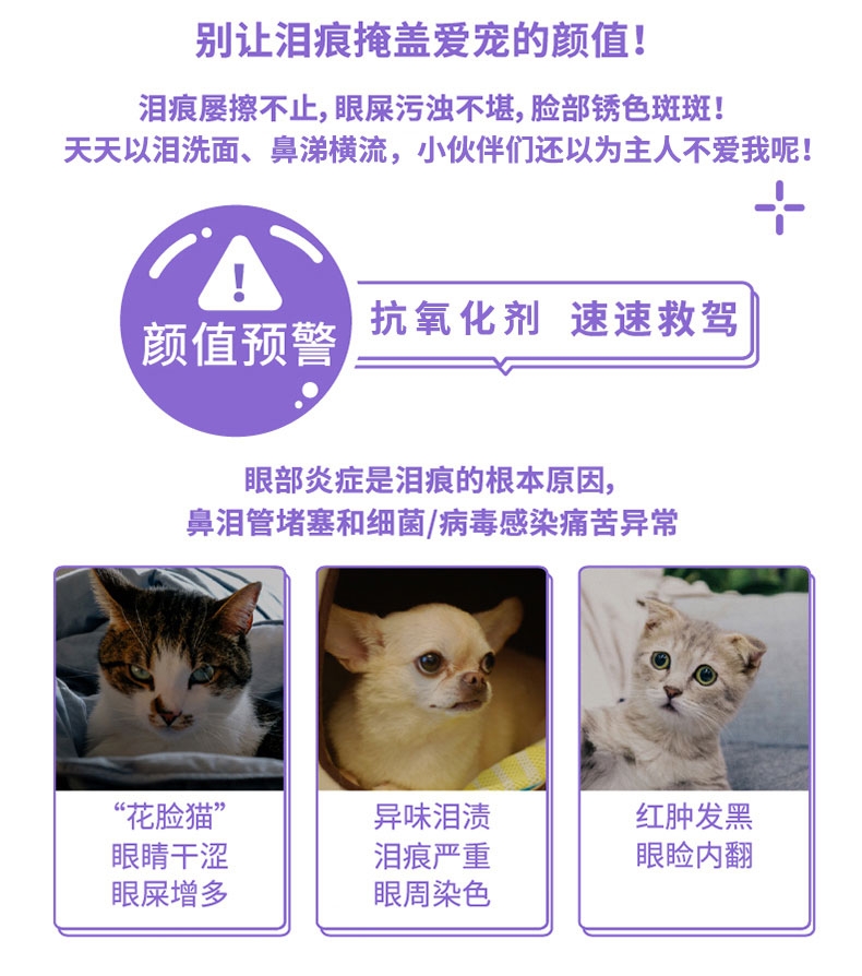 倍珍保 犬猫通用 眼维乐营养颗粒 300g 改善泪痕 眼部护理