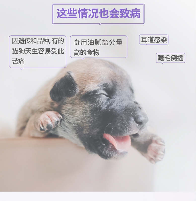 倍珍保 犬猫通用 眼维乐营养颗粒 300g 改善泪痕 眼部护理