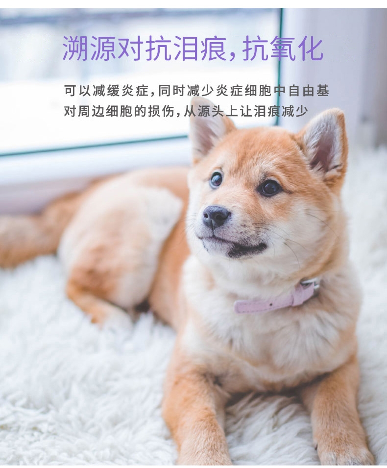 倍珍保 犬猫通用 眼维乐营养颗粒 300g 改善泪痕 眼部护理