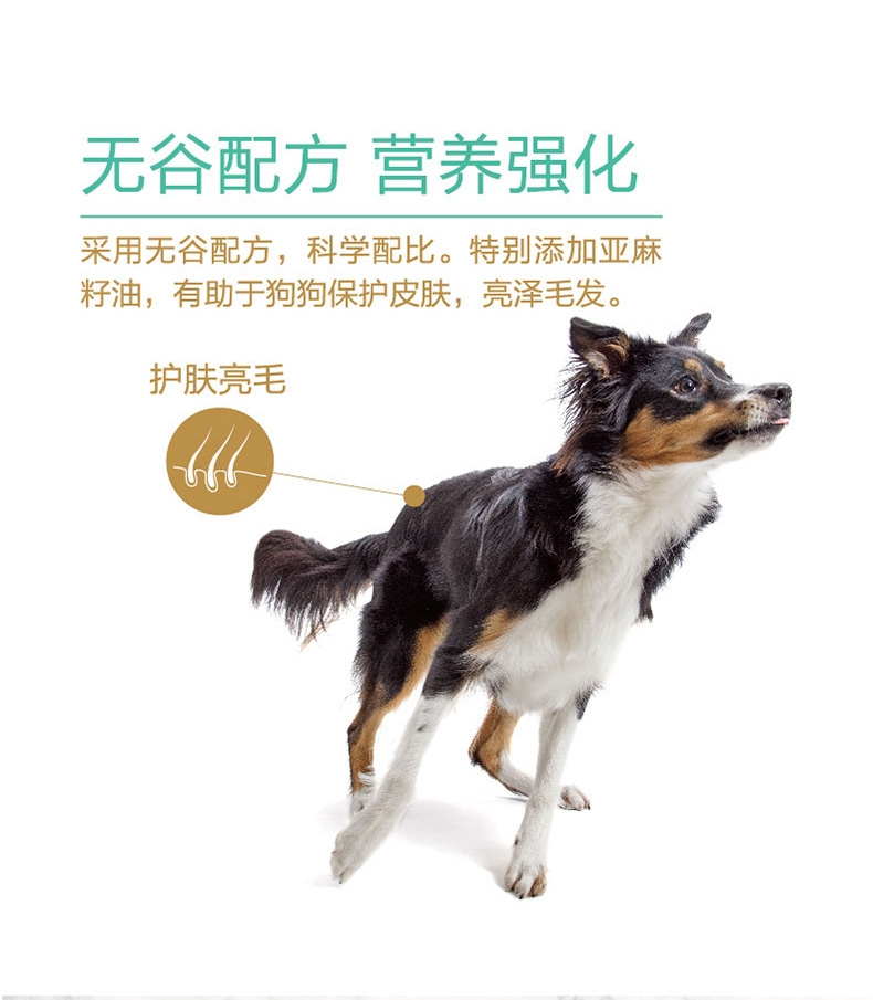 顽皮 无谷鲜盒鸡肉蔬菜配方全期犬粮主食罐 120g