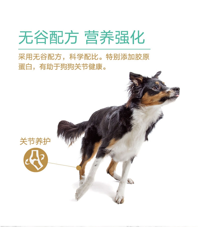 顽皮 无谷鲜盒鸡肉牛肉蔬菜配方主食罐 120g*6罐