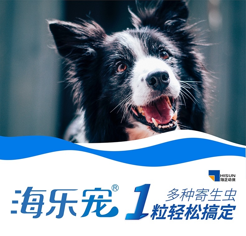 海正动保 海乐宠5mg单粒适用于中大型犬
